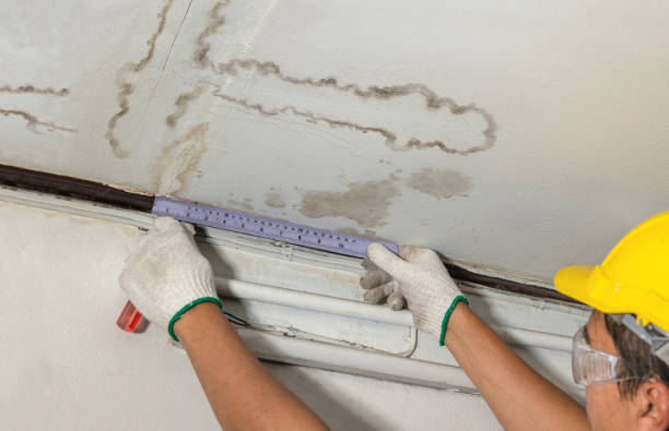 Affordable Water Damage Repair solutions in Ranburne, AL